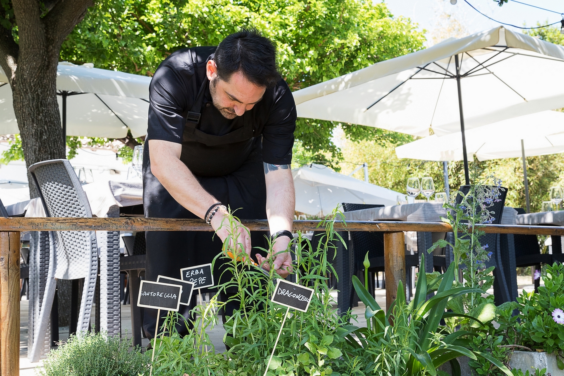 Chi siamo: il Ristorante, lo chef Stefano Berardinelli